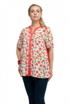 Блуза 1610019: Цвет 1
